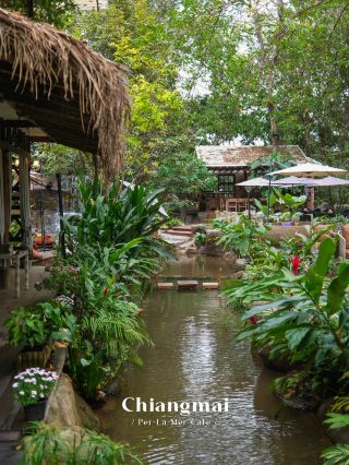 A lush green garden cafe in Chiang Mai. 🥘🥙🍃