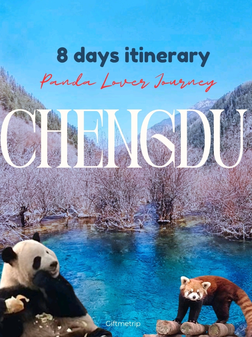 2026 Recommended Itinerary in Panda Valley (Updated June)| Trip