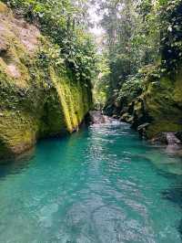 Kolam Abadi – Samosir's Hidden Jungle Paradise