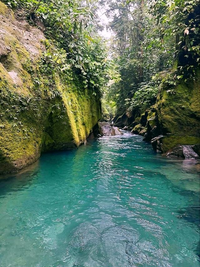 Kolam Abadi – Samosir's Hidden Jungle Paradise