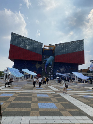 水底Vibe：探索大阪海遊館 。
