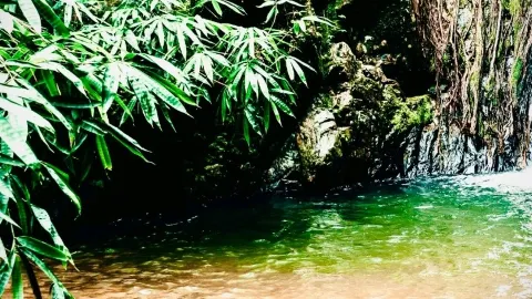 Cala Fuili and the Cliff Moss Coastal Path: Cala Gonone's Drive-Up Trailheadeasytravelpost #CalaFui — traveler post in Dorgali