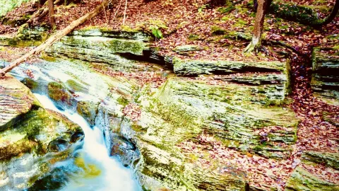 France Pyrenees Ariege Orlu Nature Reserve Mossy Forest Trail — traveler post in Ariege