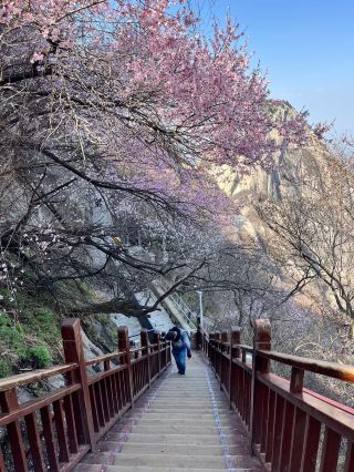 화산 배낭여행 가이드: 중국에서 가장 웅장한 산을 알뜰하게 즐기는 법