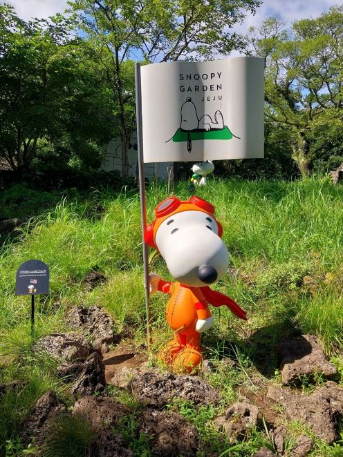 【韓国限定】 SNOOPY GARDEN 4コマパズル289P A Day in Peanuts Town: Exploring Snoopy Garden in Jeju | Trip.com