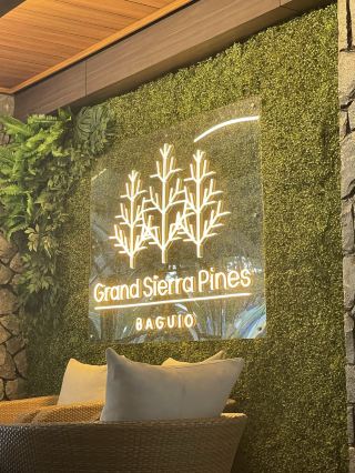 🌲 Chasing the Fog: The Ultimate Mountain Retreat in Baguio 🪵🌫️