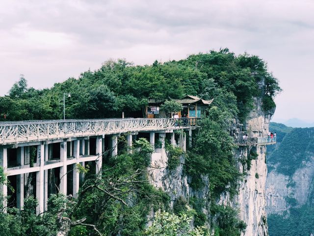 THE CLIFF HANGING WALKWAY😱