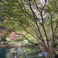 Fall in love with Gibbs Garden 