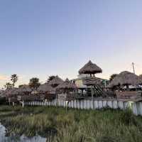 Alligator Tail at The Conch 