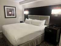 🏨 Urban Comfort in Toronto: DoubleTree