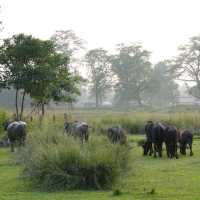 Chitwan National Park