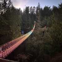 capilano suspension bridge 