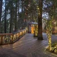 capilano suspension bridge 