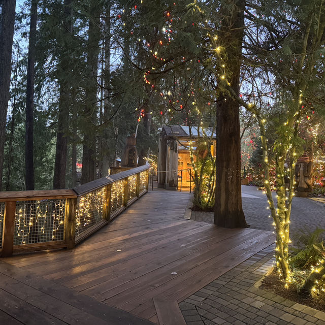 capilano suspension bridge 
