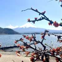 Epic views of Mt Fuji! Lake Kawaguchiko - A day trip from Tokyo. 