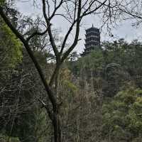 Great place to visit. Amazing views and woodland walks