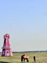 碧湖流韻——神木紅鹼淖旅遊景區