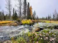 芬蘭🇫🇮景點-Äkäslinkka Waterfall