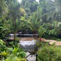 Arenal volcano hot springs 🌋🌋