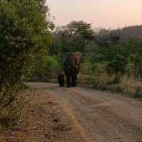 My favourite National Park in Douth Africa