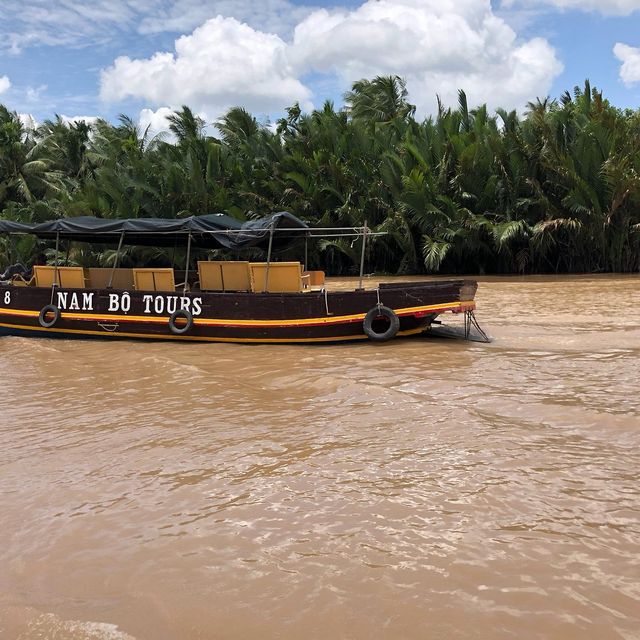 Cruising the Enchanting Mekong Delta