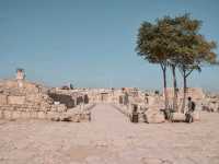 Amman Citadel: City's Historical Heart