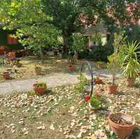 A Delightful Experience at Capriolo Salaš in Serbia