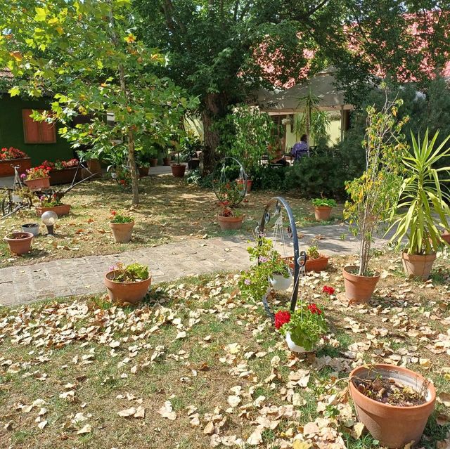 A Delightful Experience at Capriolo Salaš in Serbia