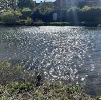 Bakewell: A Delightful Escape to the Heart of the Peak District