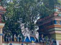 Global Harmony at the Ashram