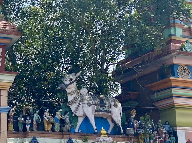 Global Harmony at the Ashram