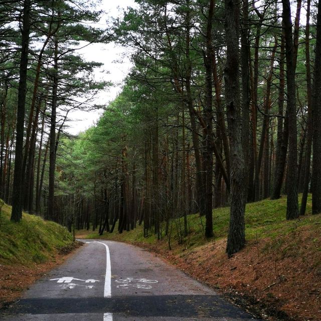 Between Sea and Serenity: Tales from the Curonian Spit