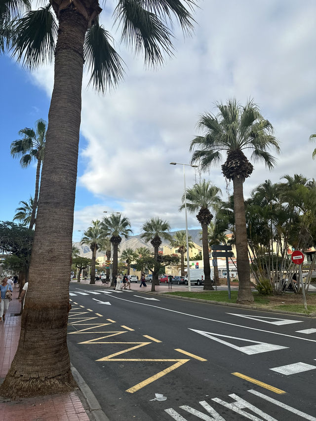 Tenerife Costa Adeje Siam park mall 