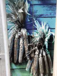 Old town doors 