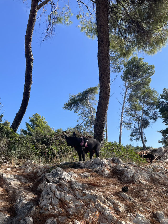 Fantastic Fanari coastal walk Kefalonia 