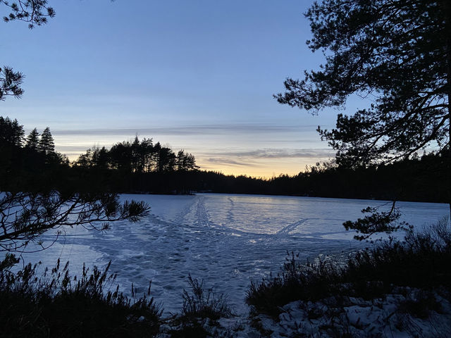Deep into the winterland of snow in Nuuksio National Park, Finland! 🌿🏞️