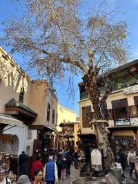 Fes – The Timeless Heart of Morocco