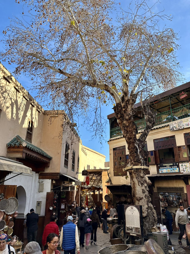Fes – The Timeless Heart of Morocco