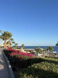Perfect Sharm El Sheikh Itinerary 