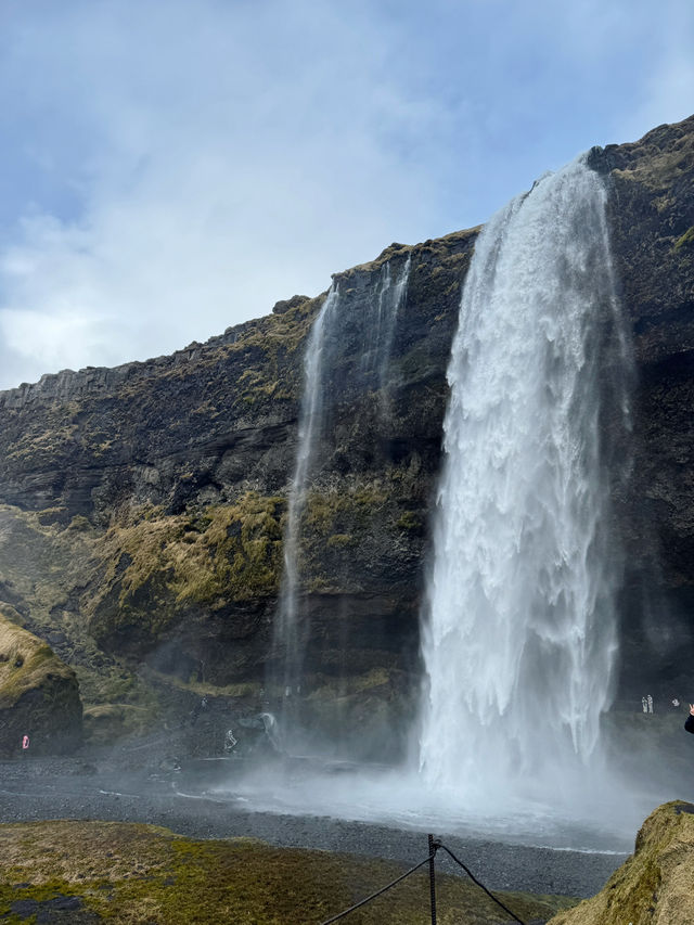 Exploring the View of Reykjavík