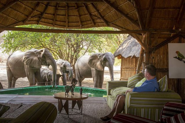 Mana Pools Safari Adventure Special - US$591pps
