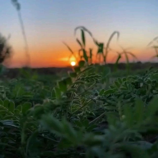 #ከቁርኣን ✨♥️ ረመዳን _ ١١          "ለነሱ በመጨረሻ የተባረከች ምድር አሏት።"   ✨  ጌታችን አላህ በቁርኣን ላመኑት;   እርሱን በግልፅ ለሚያመ