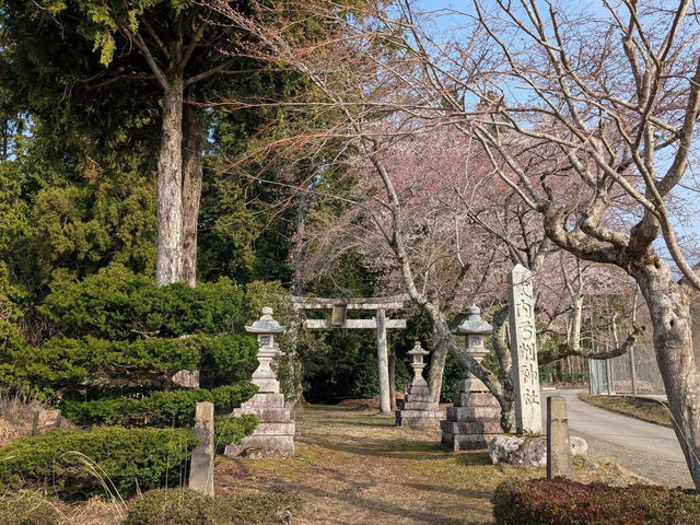 The sculpture of the shrine's dragon and the beach of white sand and blue pine are impressive