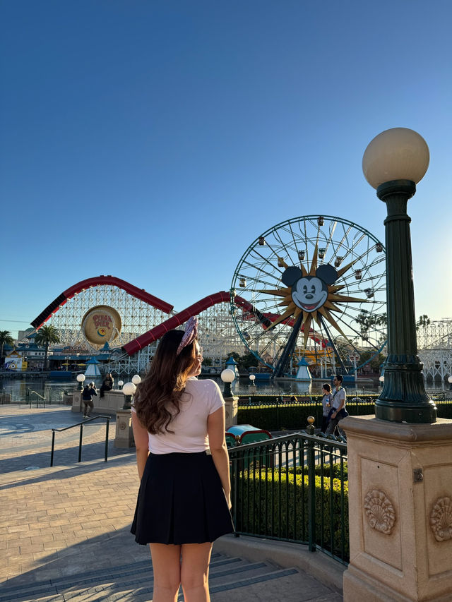 Disneyland Anaheim: The Magic You’ve Been Waiting For