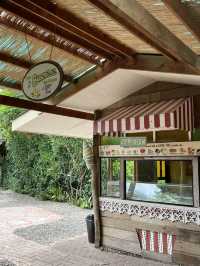 Ever Tried Flower Salad with a Sea View? Bohol Bee Farm Is a Sweet Surprise