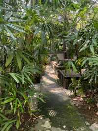 “The Legacy of Light: Guangzhou’s Gateway to Early Islam”