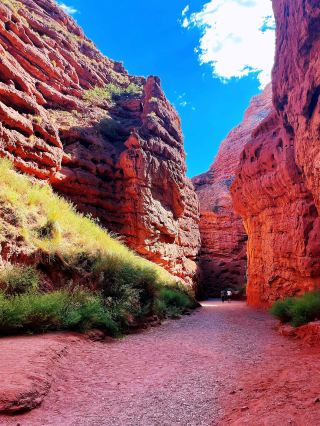 🏜️ 中國神秘大峽谷－令人嘆為觀止的絲綢之路風光