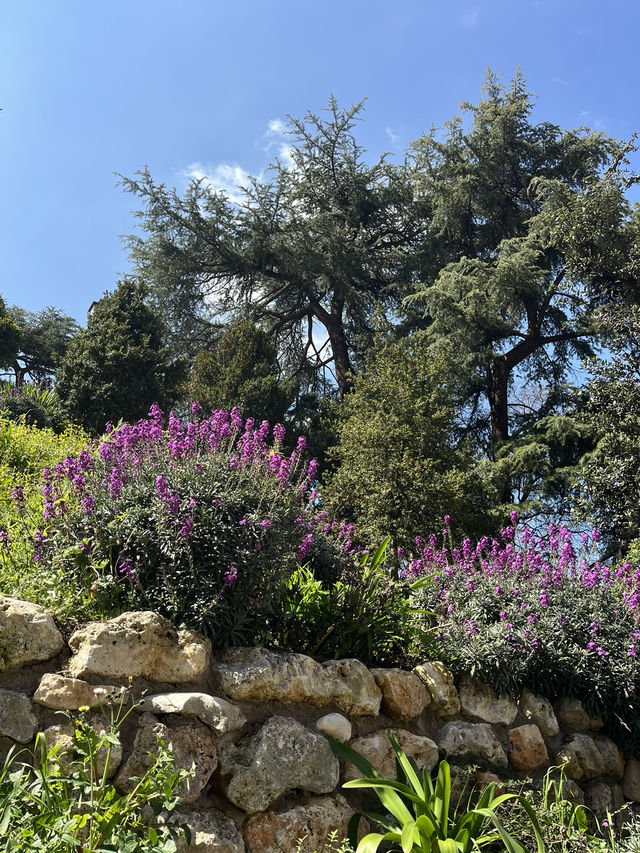 Best of spring in Madrid