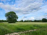 Maidenhead: A Riverside Getaway Just Outside London 