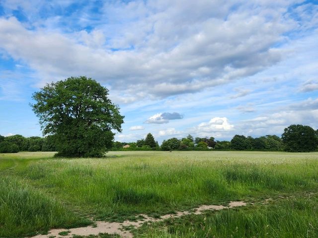 Maidenhead: A Riverside Getaway Just Outside London 